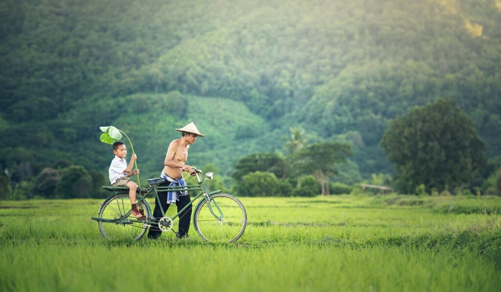 bicycle, cambodia, outside-1822640.jpg